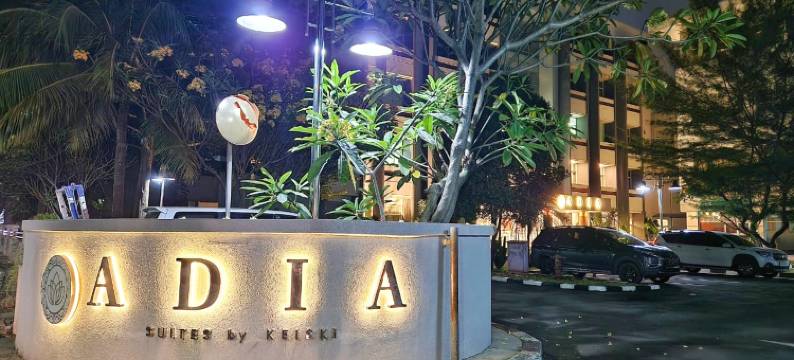 阿迪亚套房酒店(Adia Suites Hotel)图片