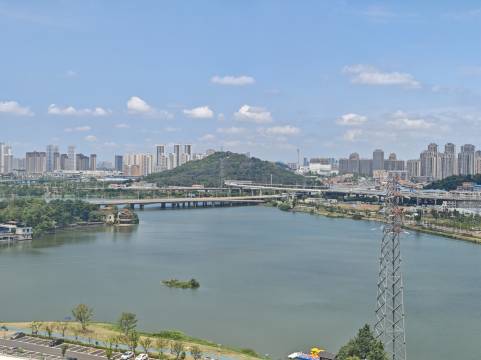 白玉兰酒店(武汉王家湾人信汇店)图片