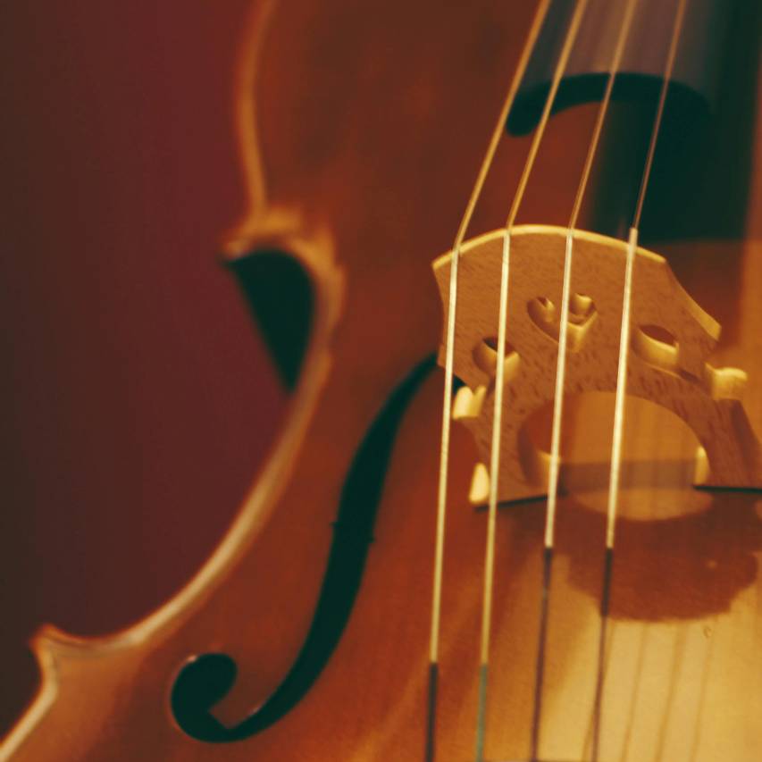 武汉马哥孛罗酒店图片