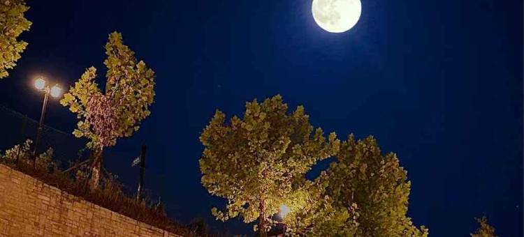 祈福紫庐酒店(庐山风景名胜区仰天坪店 )图片