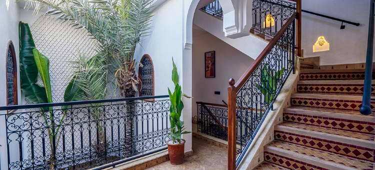 法蒂玛之巢庭院旅馆(Riad Le Nid De Fatima)图片