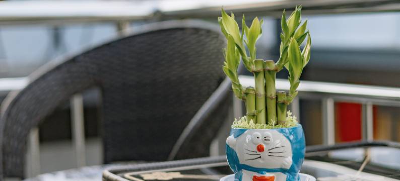 欣巷|Haven 设计师艺宿(忻州古城店)图片