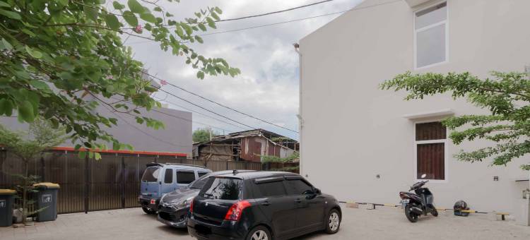 Palm Eight RedPartner图片