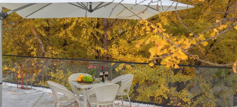 腾冲银杏村伊珍.苏杭秋温泉客栈图片