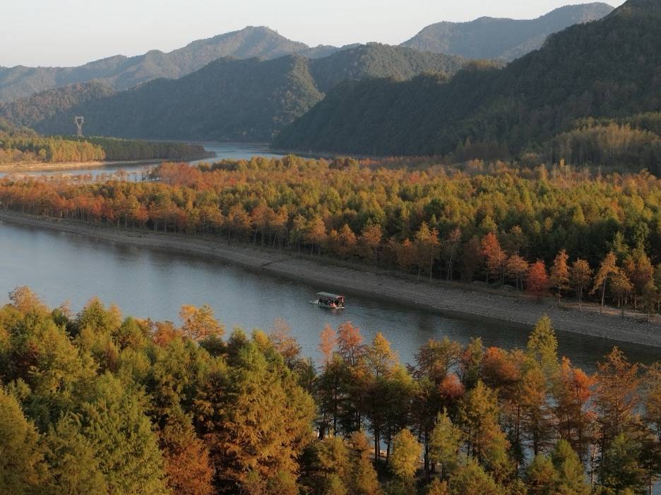 宁国·曼栖辰光里｜星空露台Coffee美宿(皖南川藏线板桥村店)图片