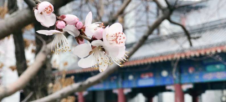 天津生态城希尔顿酒店图片