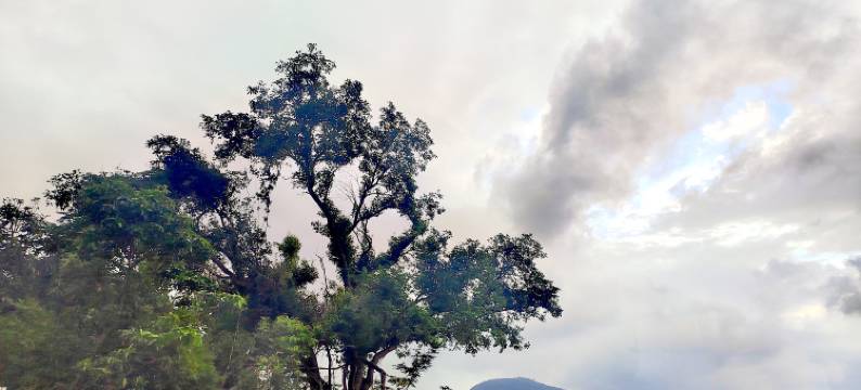 三亚亚龙湾静莱套房度假院子图片