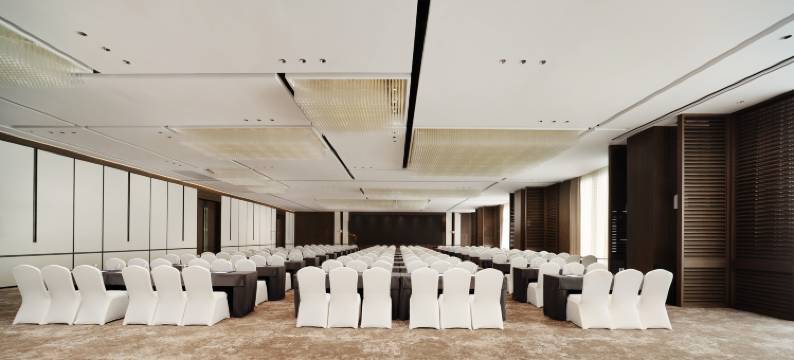 成都立格雅高诺富特酒店(天府新区西博城店)图片