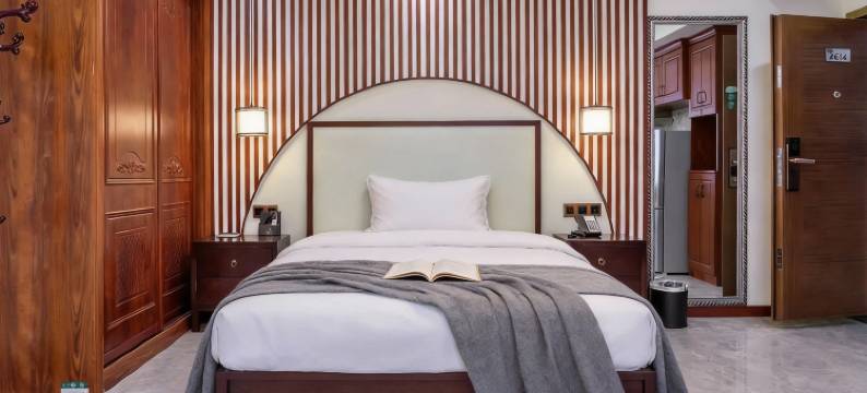 贵阳林宸阳光酒店(花果园财富广场店)图片