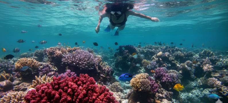 巴厘岛萨玛贝套房别墅(Samabe Bali Suites & Villas)图片