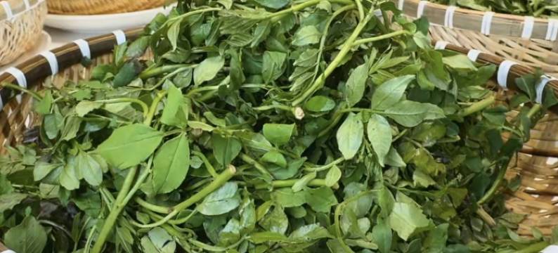 潍坊汉斯威士国际酒店(鲁台会展中心店)图片