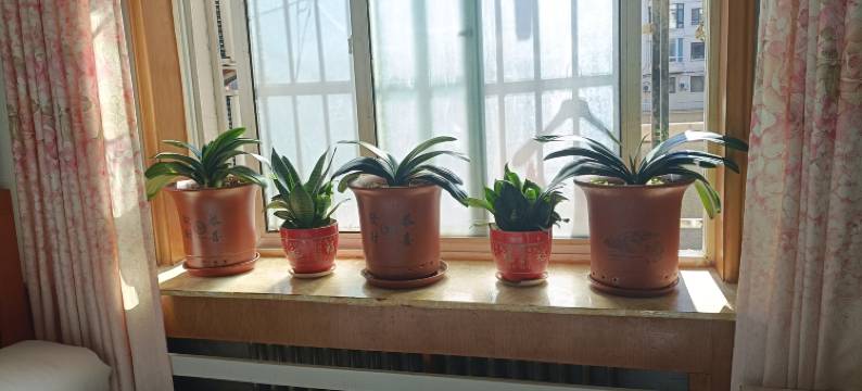 丹东长存招待所图片