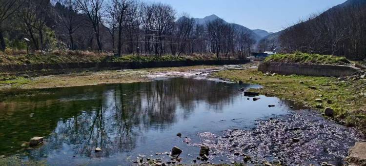 宁国胜道Serene·溪山揽境·新中式民宿(皖南川藏线板桥村店)图片