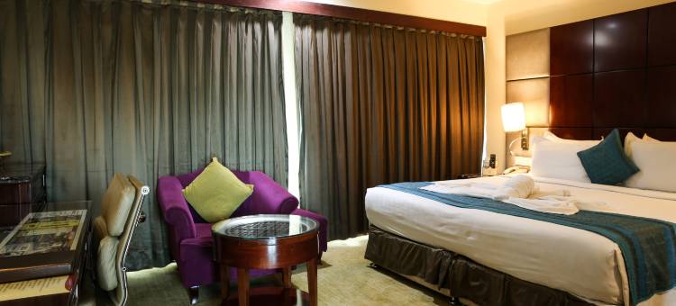 天空城市酒店(SkyCity Hotel Gurgaon)图片