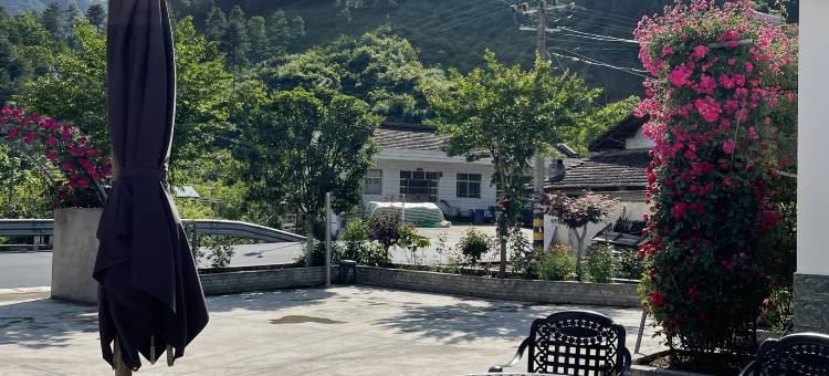 留坝桃园乡居图片