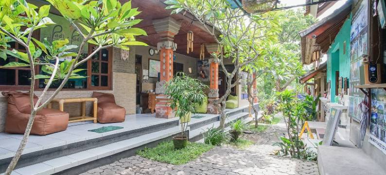 帕迪-帕迪旅舍-酒吧(Padi-Padi Hostel & Bar)图片