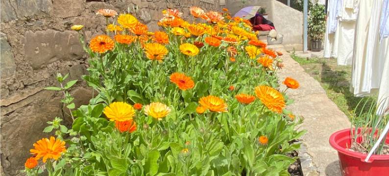 上木居贡噶山居图片