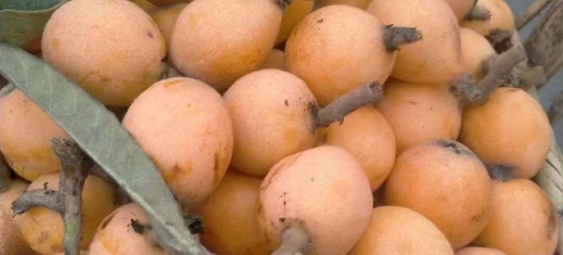 歙县徽语山房民宿(新安江山水画廊景区店)图片