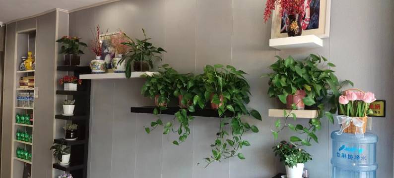 徐州旭日酒店(铜山万达店)图片