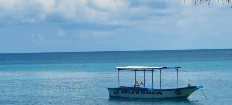 阿维拉地平线潜水度假村-马拉帕斯卡(Avila's Horizon Dive Resort Malapascua)图片