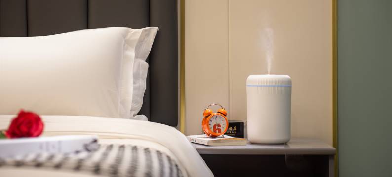 八宿县麦穗轻居酒店图片