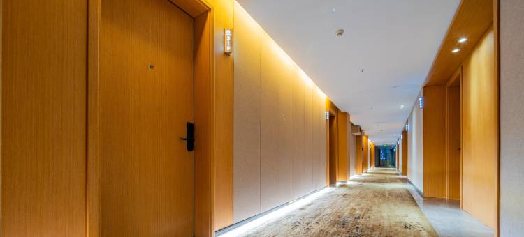 潢川泊雅酒店(春申西亚丽宝广场店)图片