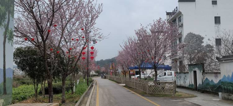 婺源绿萝民宿(月亮湾景区店)图片