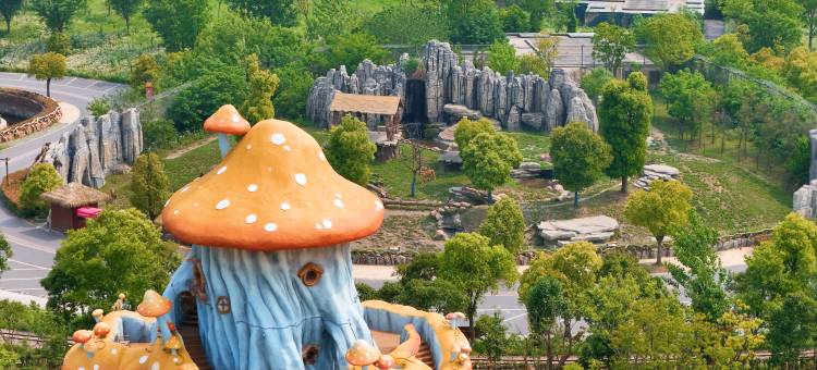 南通森迪部落树屋图片