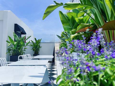 东山岛·花间聆海海景民宿(南门湾店)图片