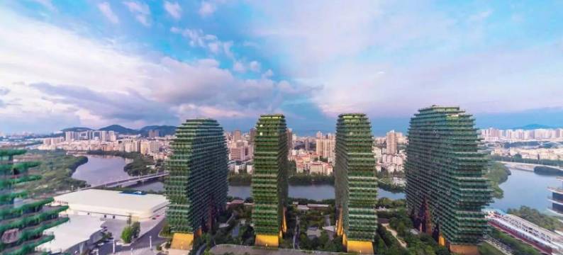 美冠大树度假公寓(三亚美丽之冠店)图片