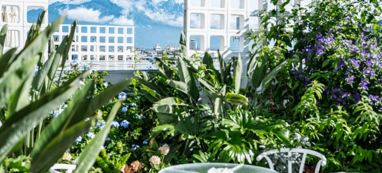 德庭·滇茶里茶文化酒店图片