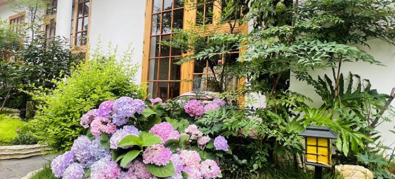 和兴雅苑(凤凰古城店)图片