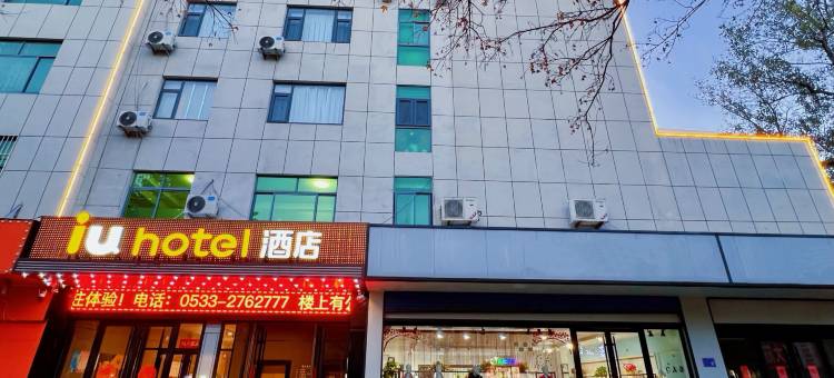 IU酒店(淄博万象汇王府井步行街店)图片