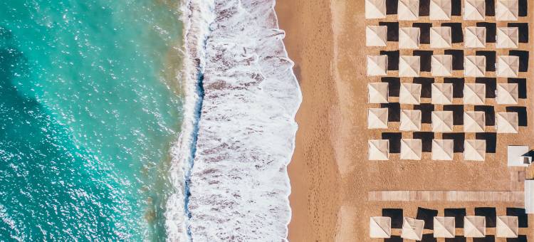 帕洛玛奥伦达(Paloma Orenda)图片