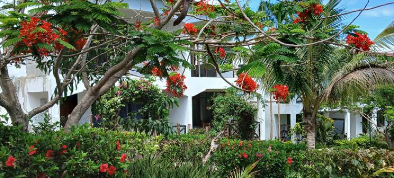 马贾尼微风旅馆(Majani Breeze)图片