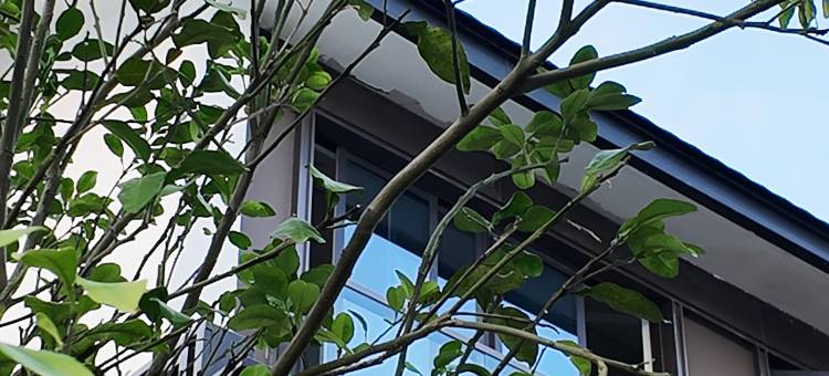 清远湖蝶湾爱尚度假温泉别墅图片