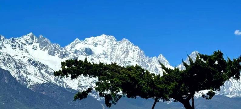 茉莉小院•Faint Scent丨日照金山•侘寂风艺境庭院(白沙古镇店)图片