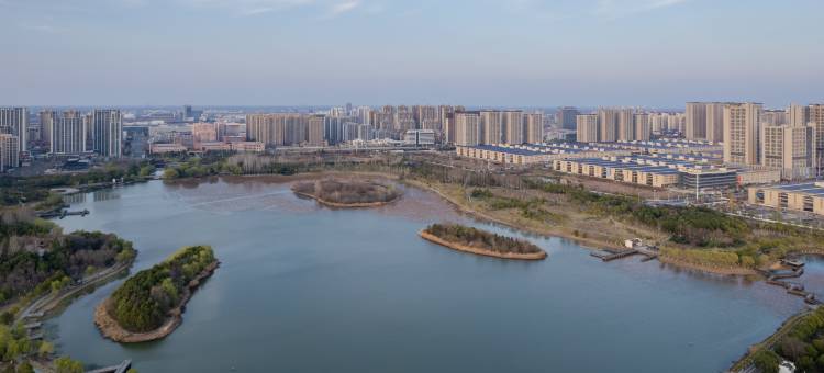丹橘酒店(新站广场陶冲湖店)图片