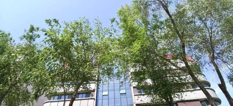 乌鲁木齐深圳汇宾楼(南湖广场店)图片