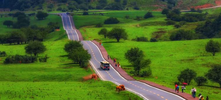 花筑·仙女山夜宴客栈(游客接待中心店)图片