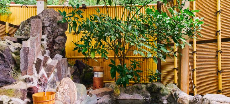 曼诺山中湖别墅(Manor House)图片