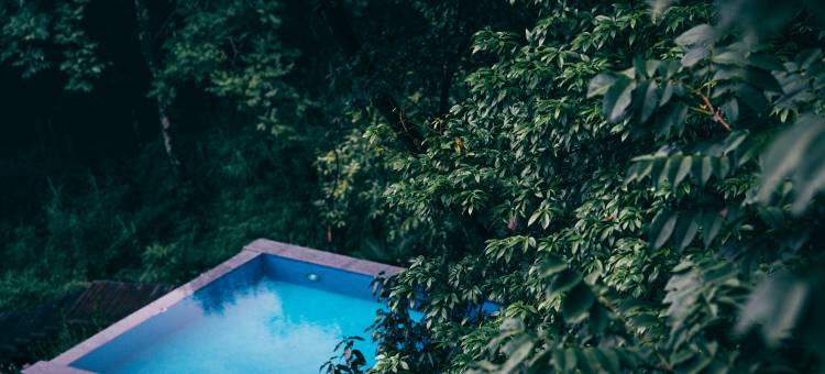 庵岚·森林溪泉私汤民宿图片