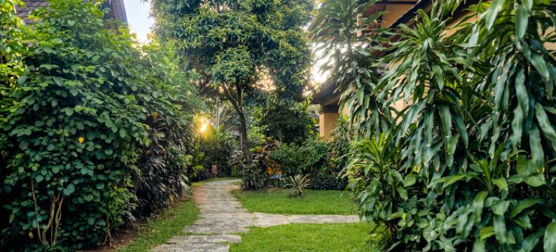 斯里帕拉别墅度假村(Sri Phala Resort & Villa)图片