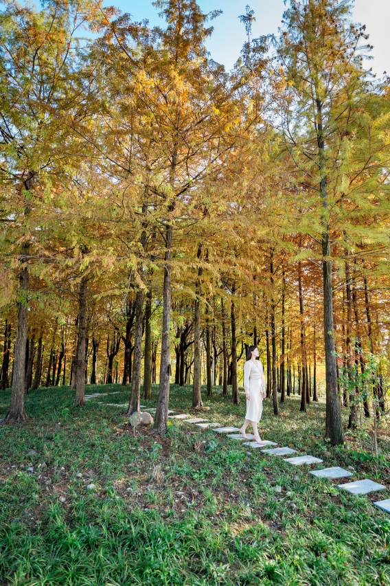 黄山横江湾凯悦酒店图片