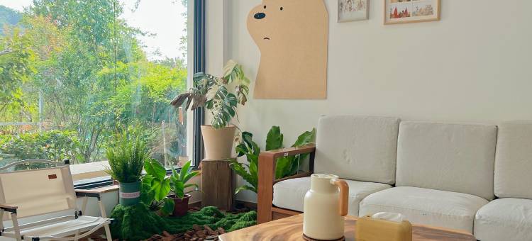 咕咚夫妇的小院图片