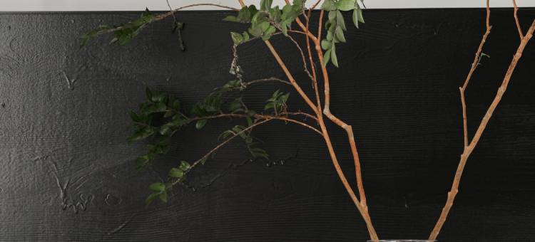 夕澜·共潮生｜拍照出片｜180°观海度假美宿(理想邦店)图片