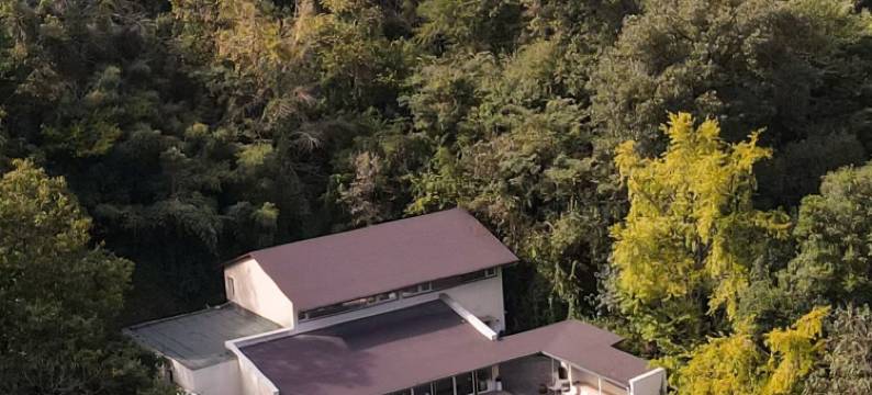 大乐之野·银杏谷(随州店)图片