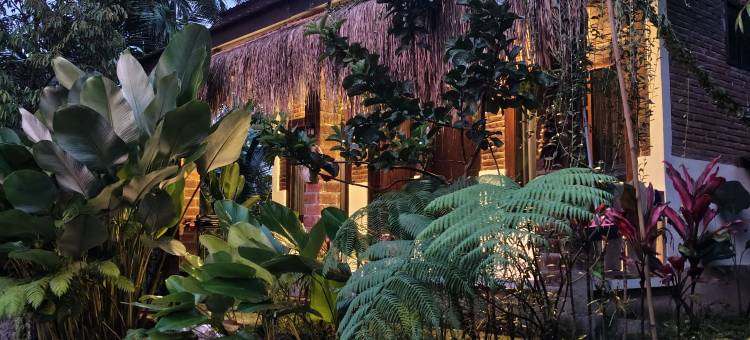 Billi家庭(Billi Family)图片