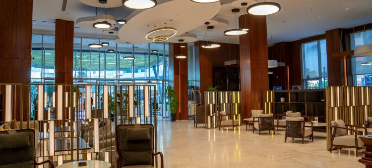 埃尔比勒丽筠酒店(Radisson Hotel & Residences Erbil)图片