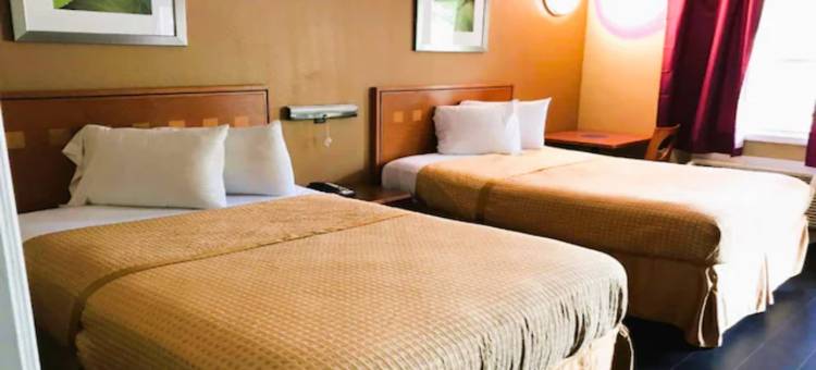 OYO 塔拉哈西市中心酒店汽车旅馆(OYO Hotel Tallahassee Downtown)图片